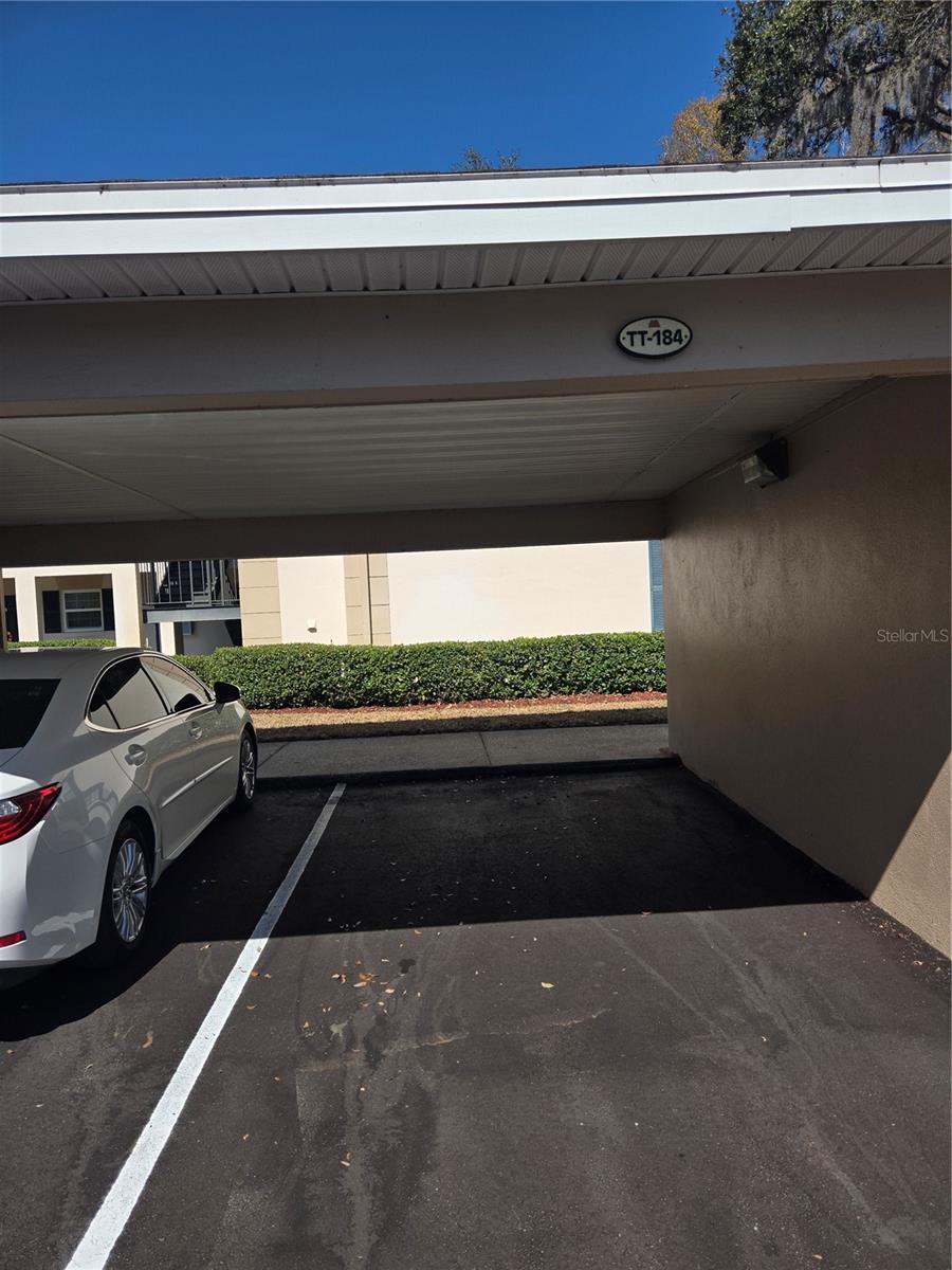 Image 17 of 17 For 10350 Carrollwood Lane 188