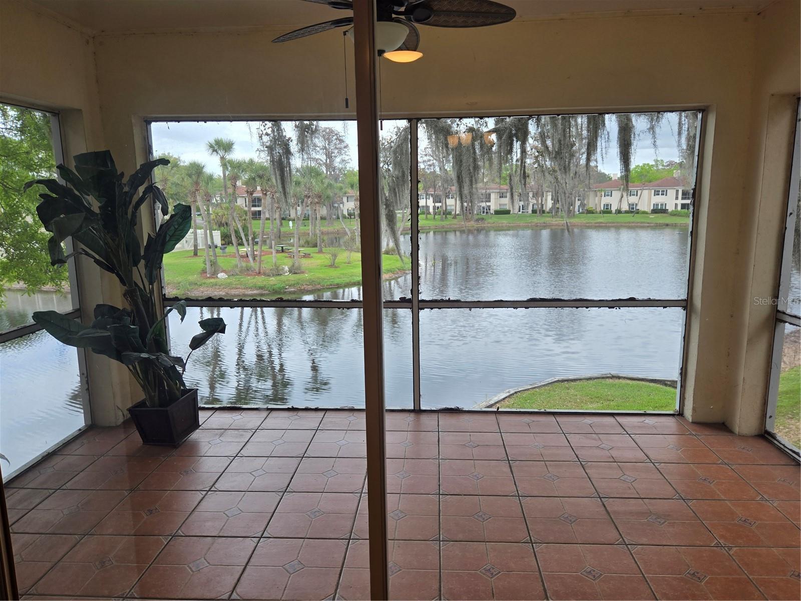 Image 6 of 17 For 10350 Carrollwood Lane 188