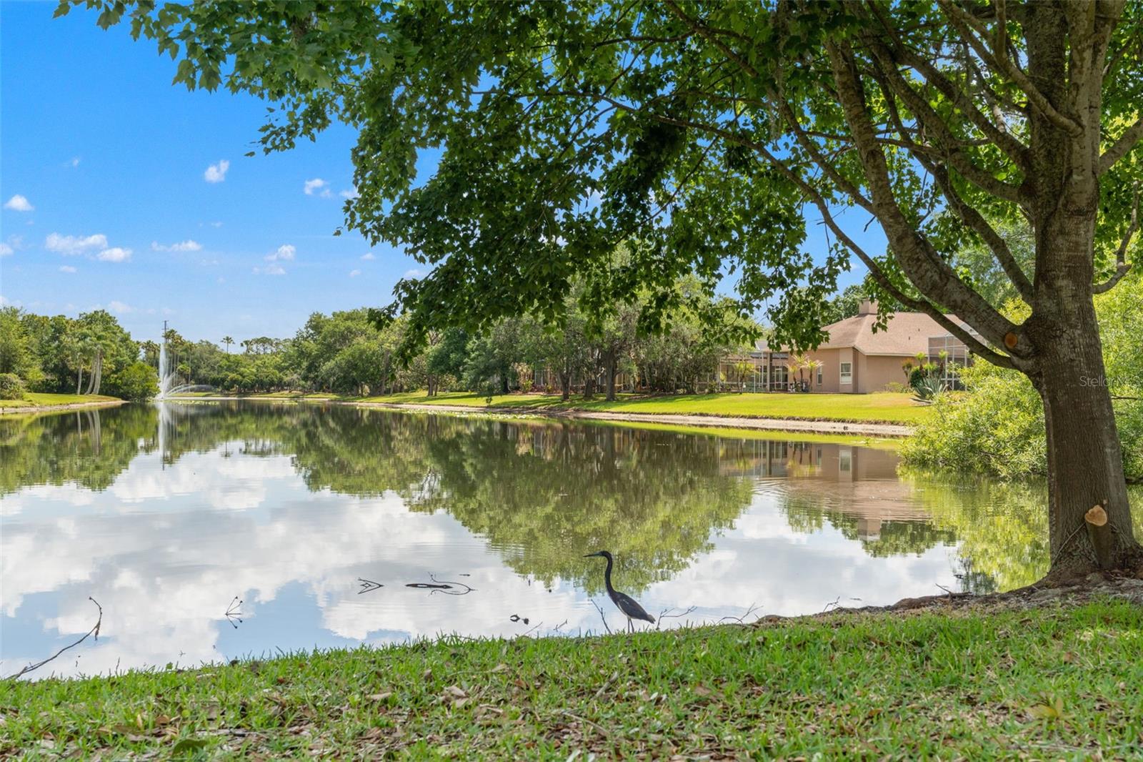 Image 56 of 66 For 5021 Wesley Drive