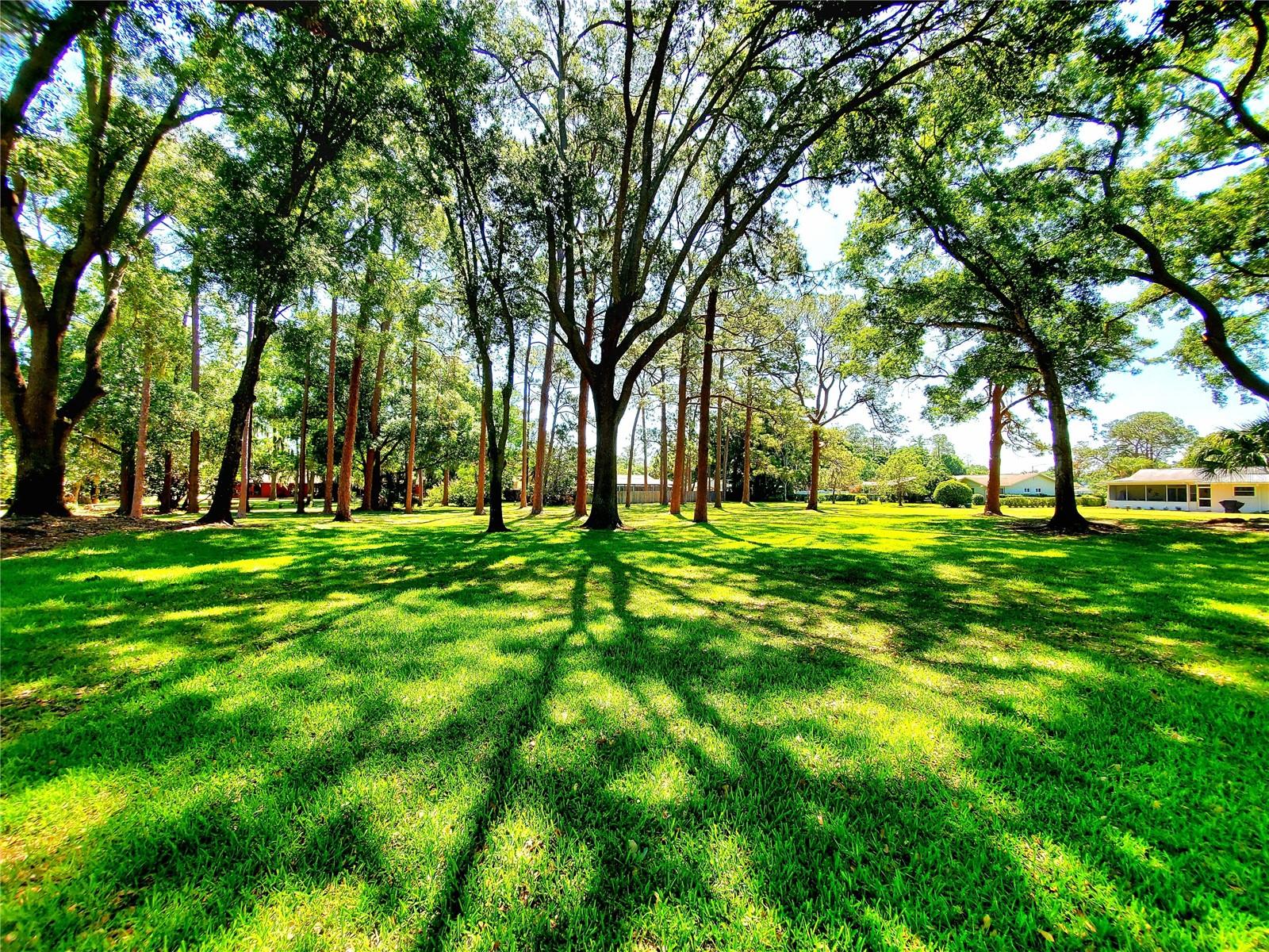 Image 54 of 54 For 835 Anchorage Lane