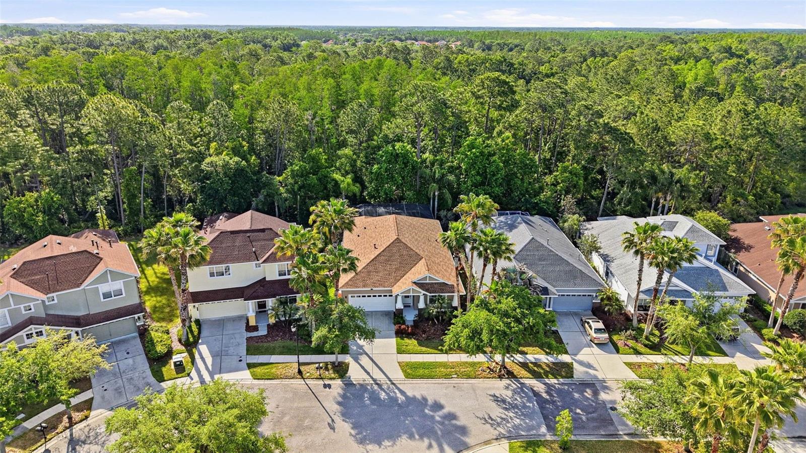 Listing photo id 79 for 8123 Camella Lane