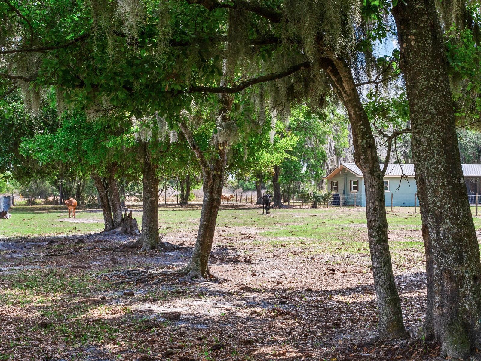 Listing photo id 46 for 9819 Allen Road