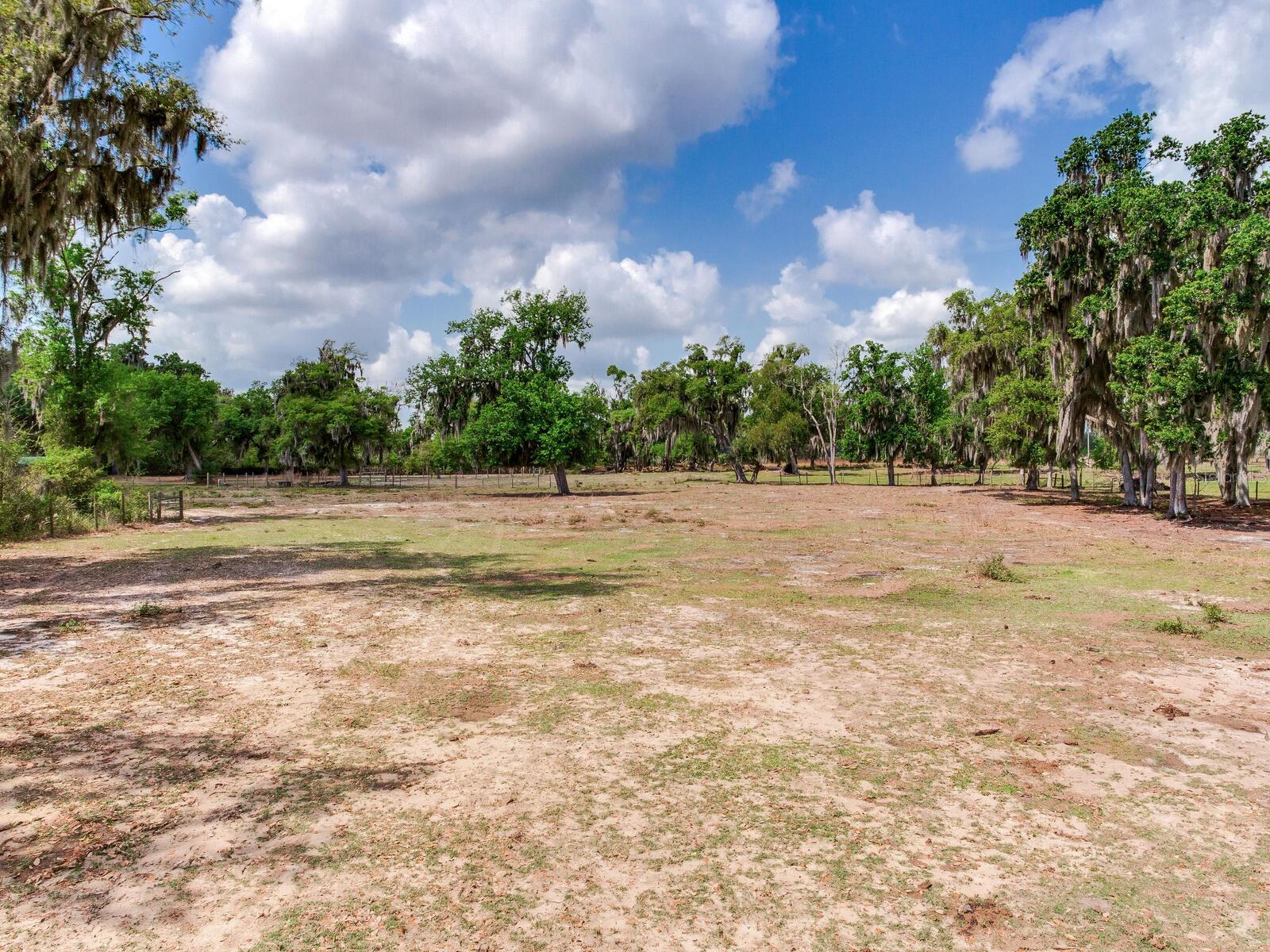 Listing photo id 47 for 9819 Allen Road