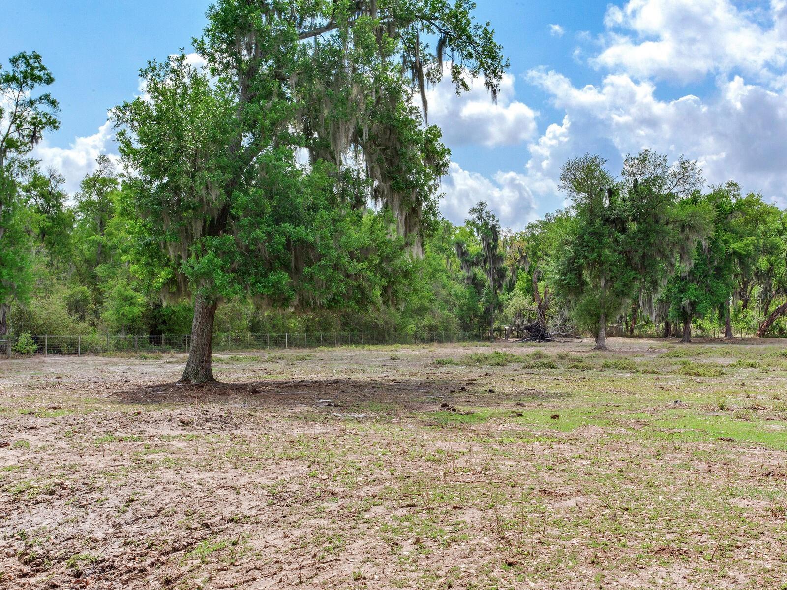 Listing photo id 48 for 9819 Allen Road