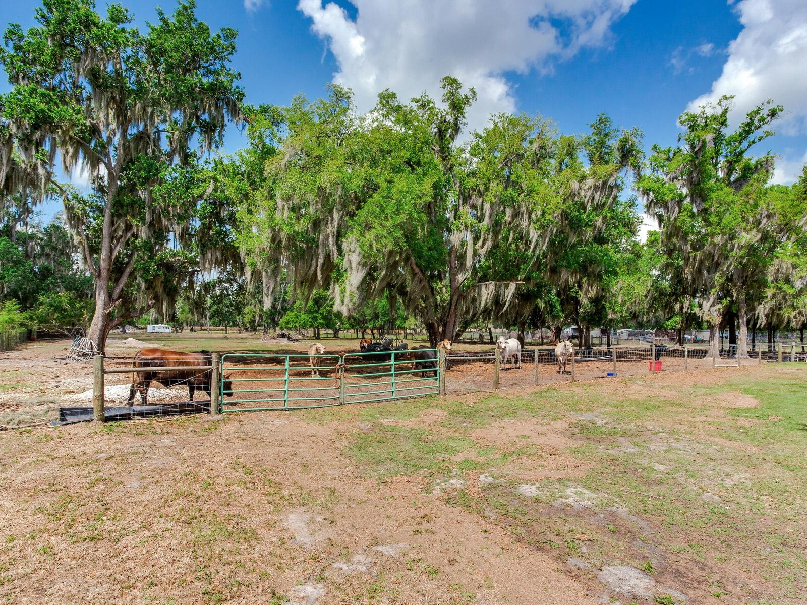 Listing photo id 49 for 9819 Allen Road