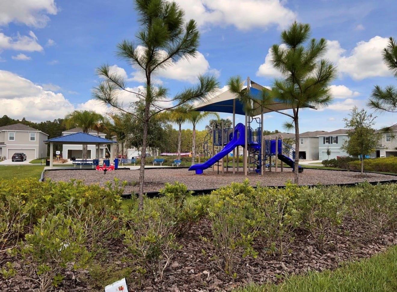 Image 5 of 52 For 3379 Suncoast Plains Drive