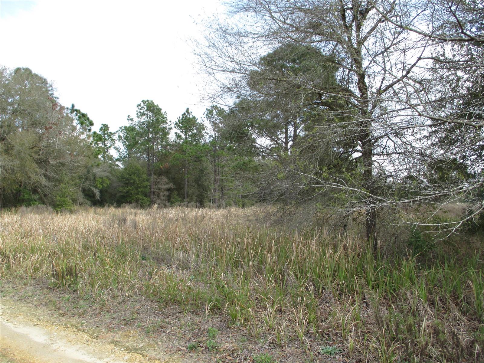 Details for  24th  , OCALA, FL 34481