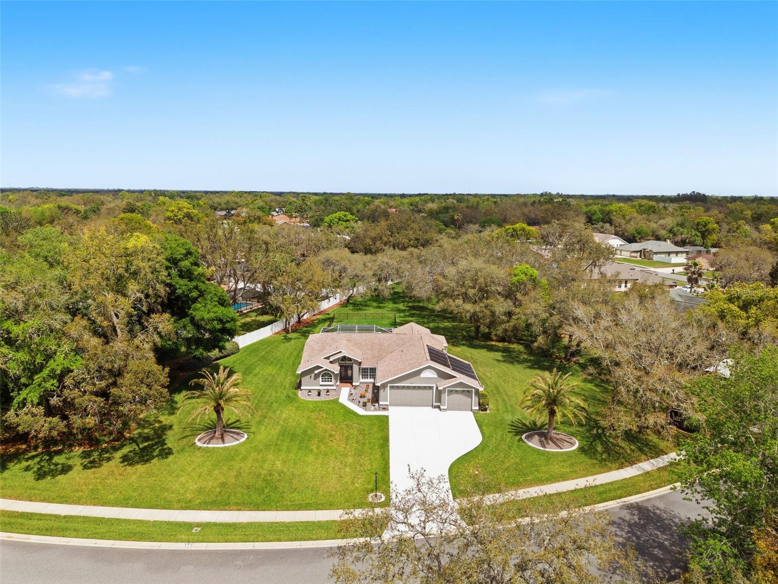 Image 13 of 72 For 18143 Winding Oaks Boulevard