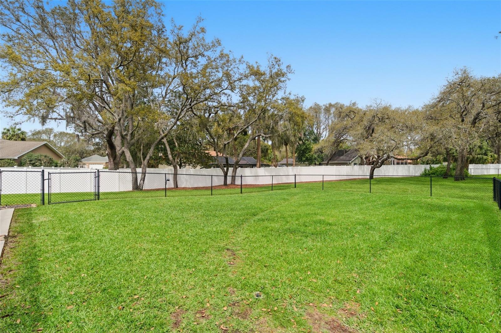 Image 64 of 72 For 18143 Winding Oaks Boulevard