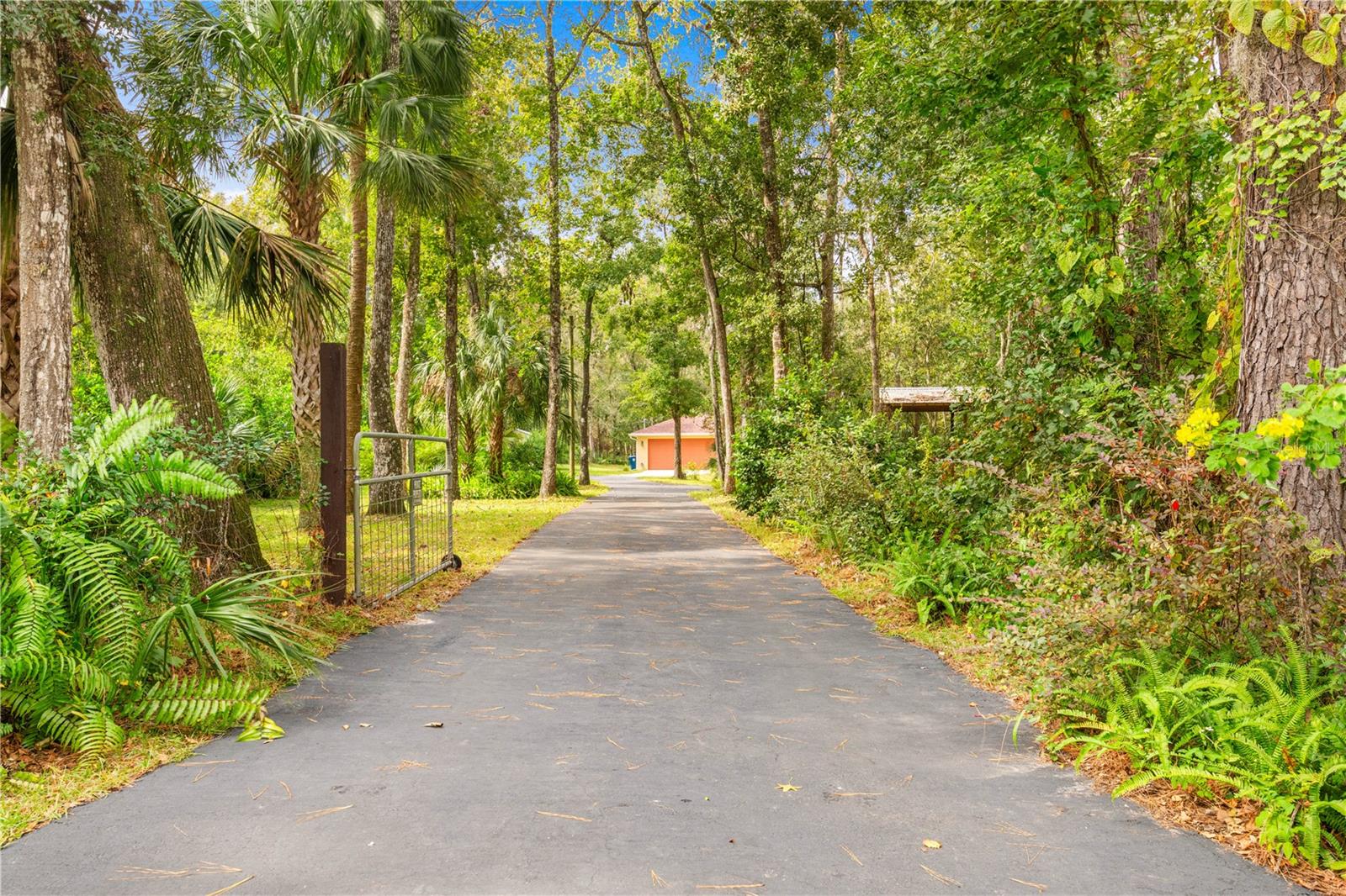 Image 5 of 43 For 10491 Joyce Drive