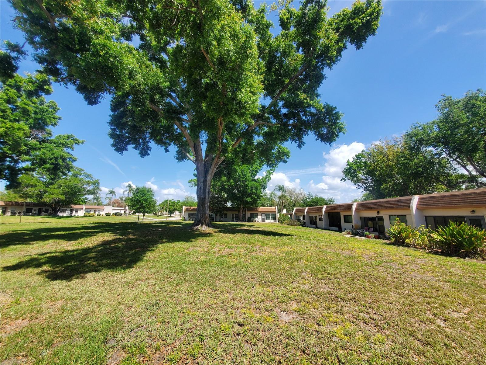 Image 12 of 22 For 1391 Mission Hills Boulevard