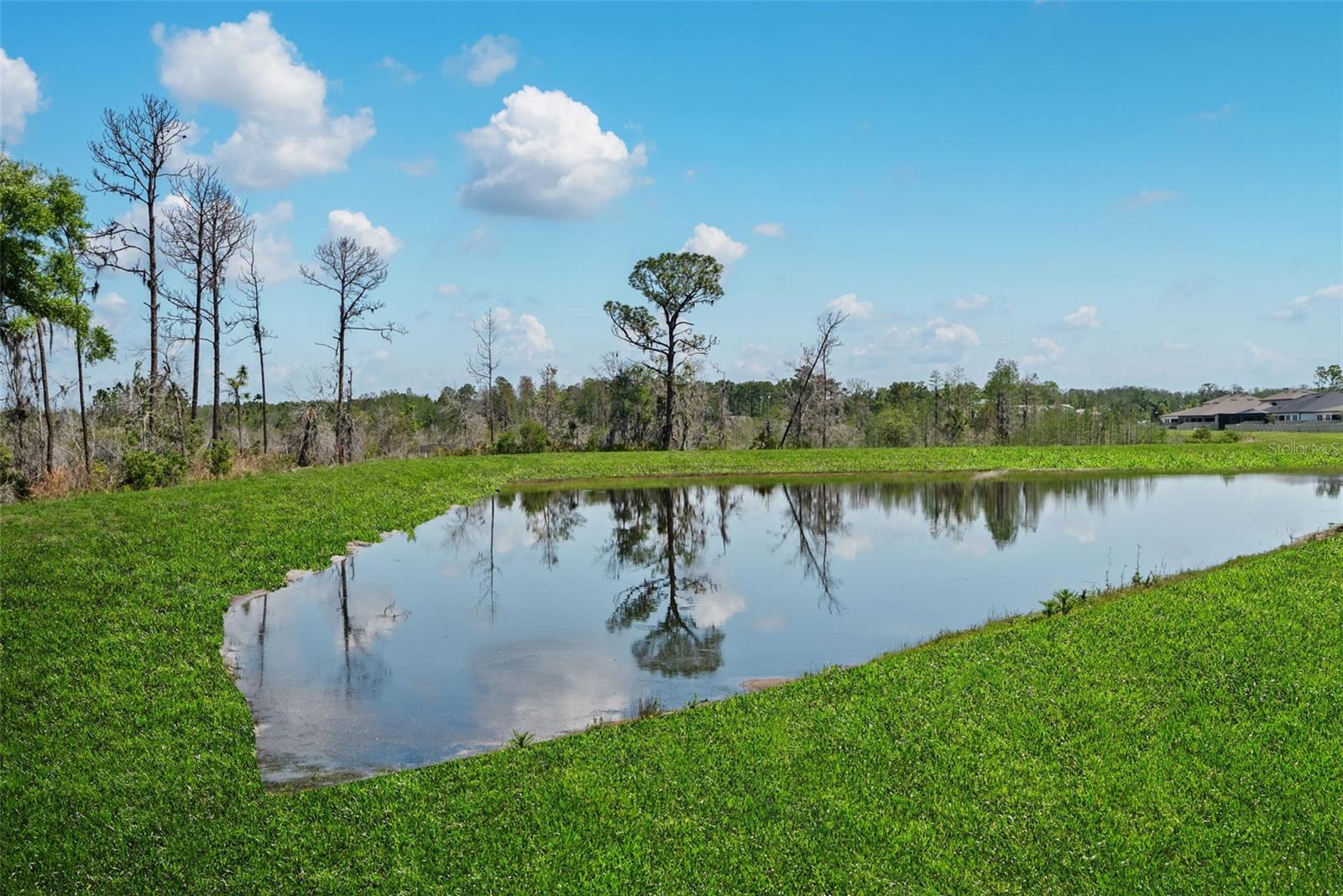 Image 5 of 60 For 8934 Little Bluestem Drive