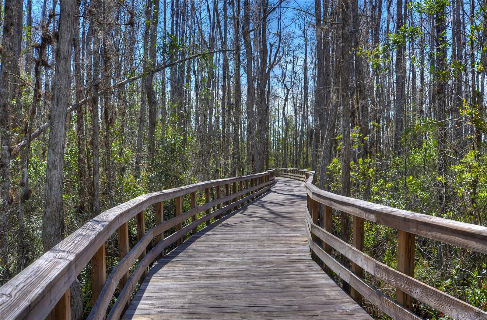 Image 52 of 60 For 8934 Little Bluestem Drive