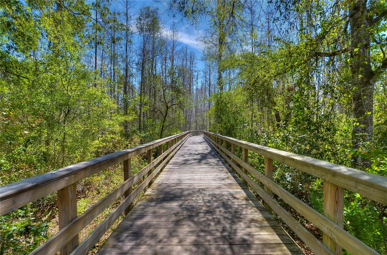 Image 53 of 60 For 8934 Little Bluestem Drive