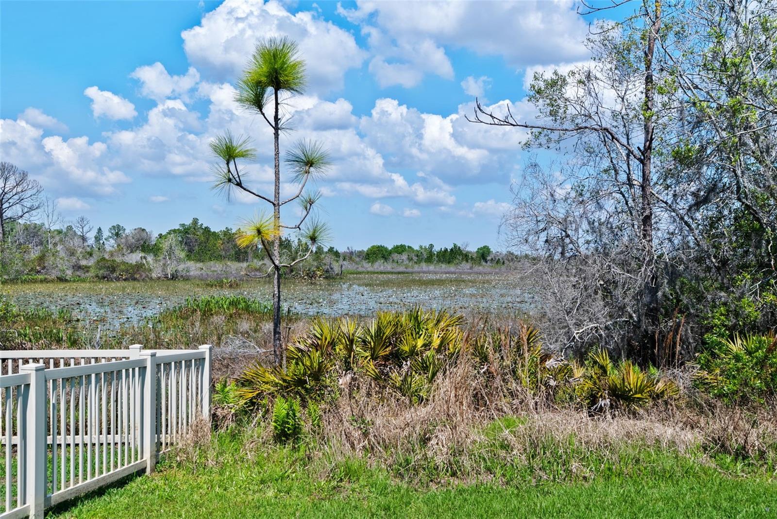 Image 59 of 60 For 8934 Little Bluestem Drive