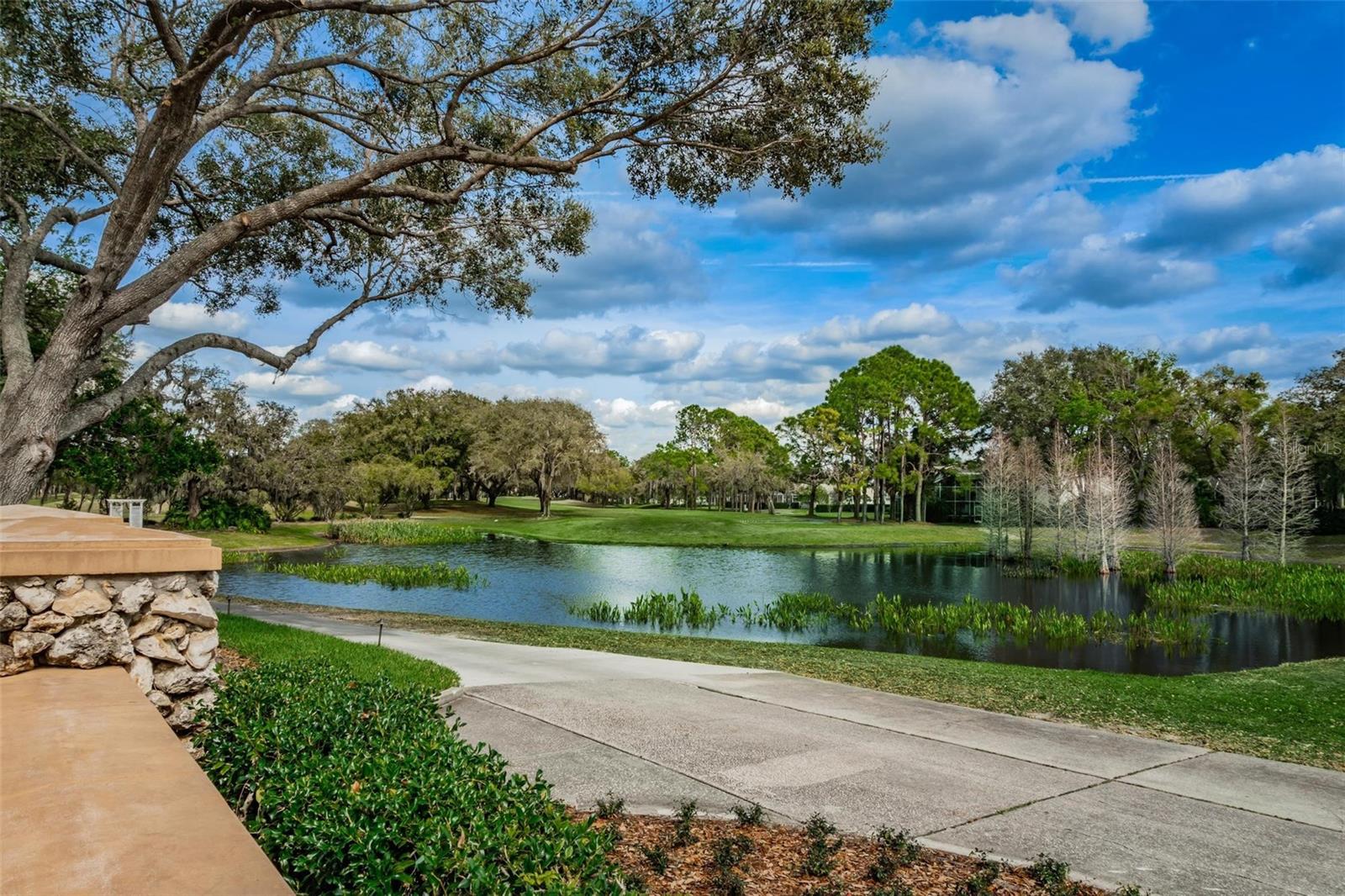 Image 14 of 51 For 5120 Fairway One Drive