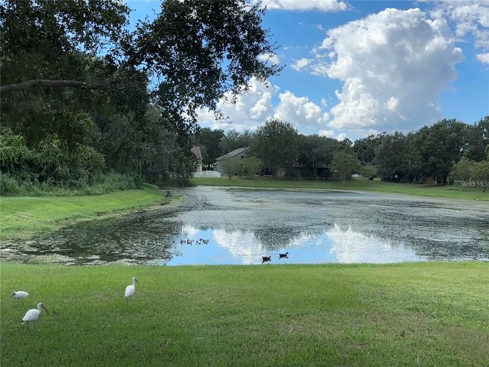 Image 24 of 27 For 13016 Terrace Brook Place