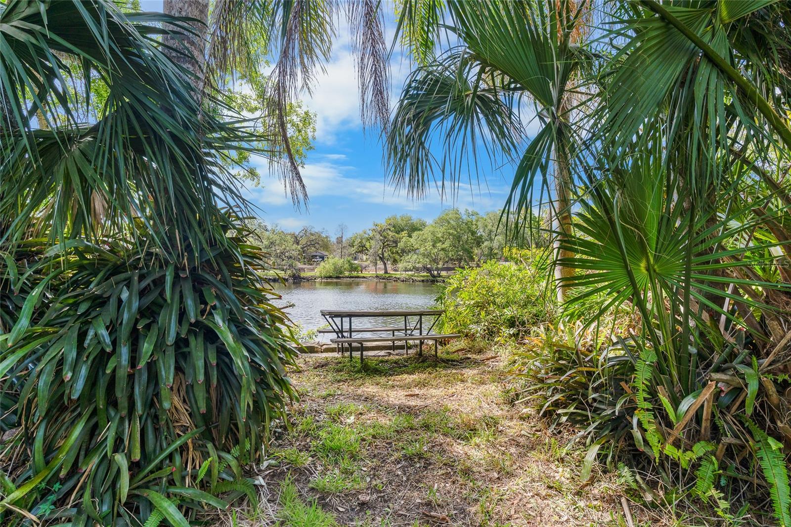 Listing photo id 7 for 6605 Boulevard