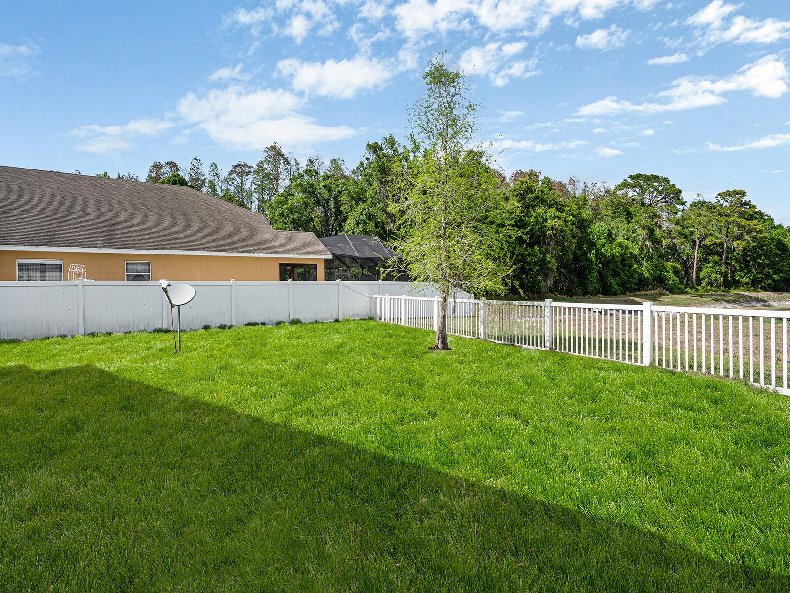 Image 31 of 38 For 11713 Colony Lakes Boulevard