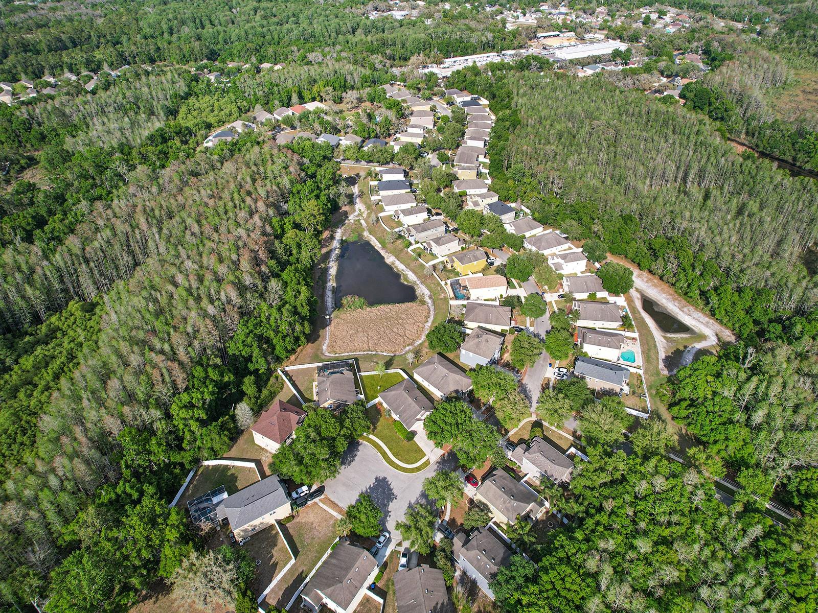 Image 38 of 38 For 11713 Colony Lakes Boulevard