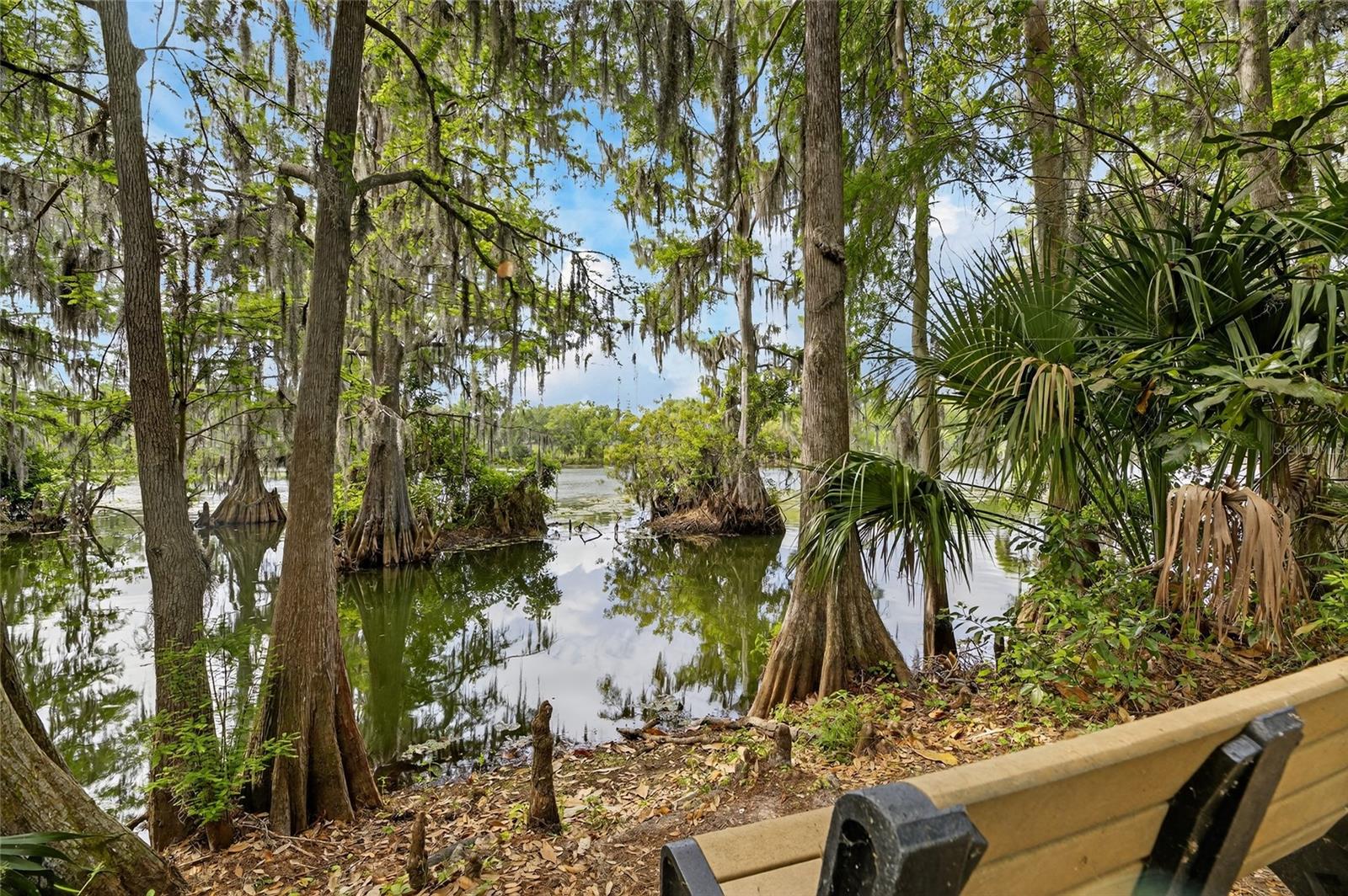 Image 56 of 83 For 1008 River Drive