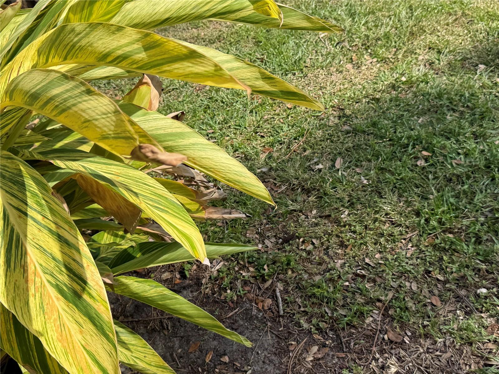 Image 21 of 31 For 870 Village Lake Terrace N 101