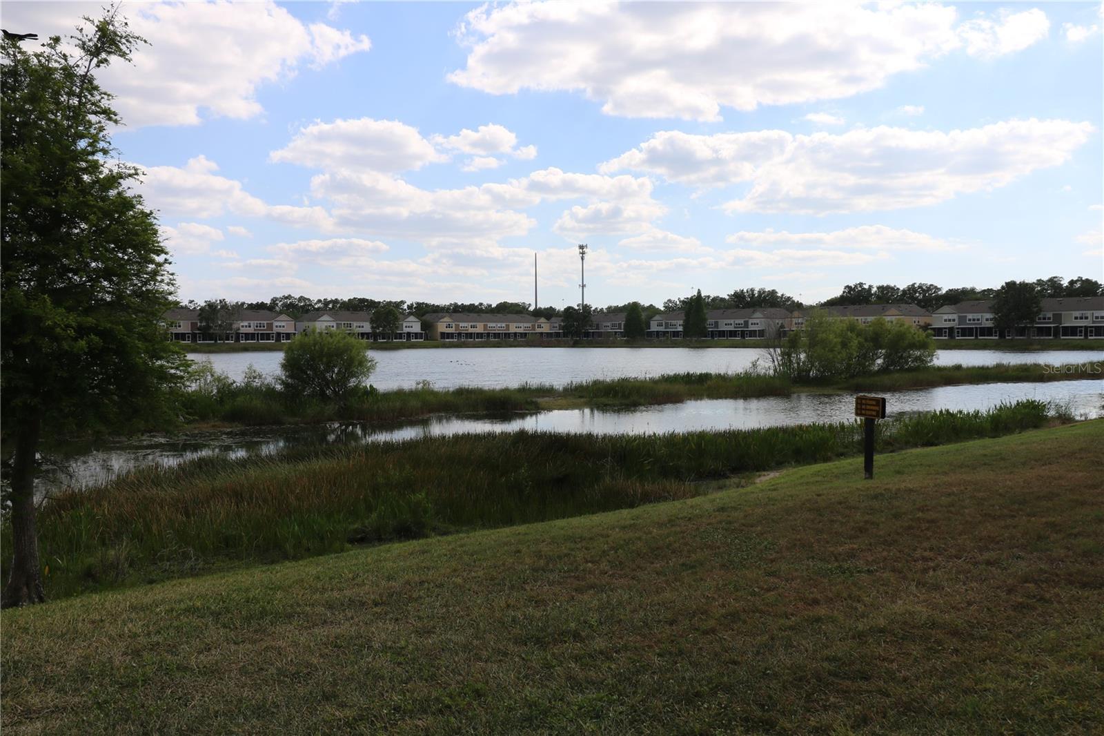 Image 15 of 33 For 10165 Haverhill Ridge Drive