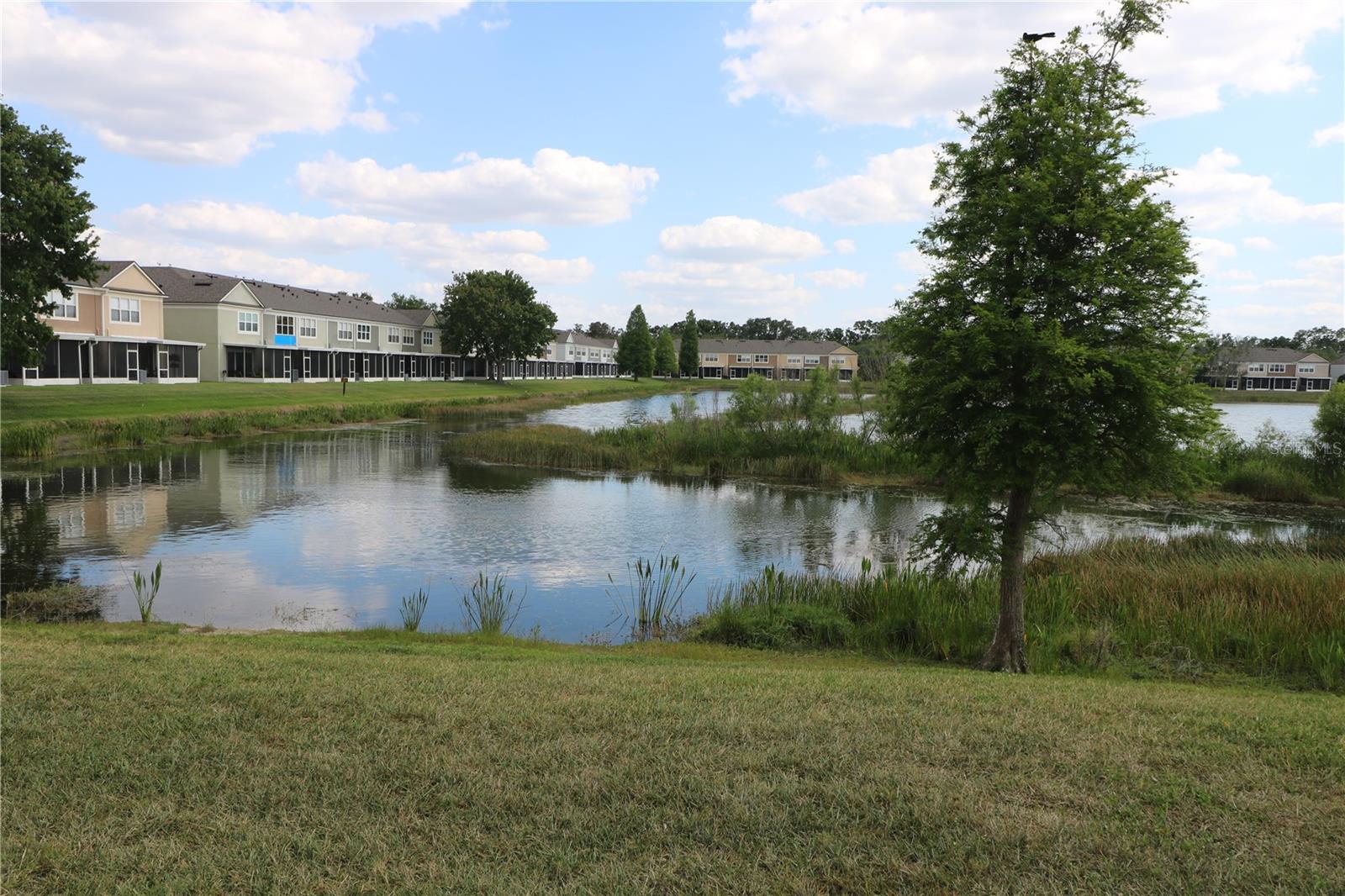 Image 16 of 33 For 10165 Haverhill Ridge Drive