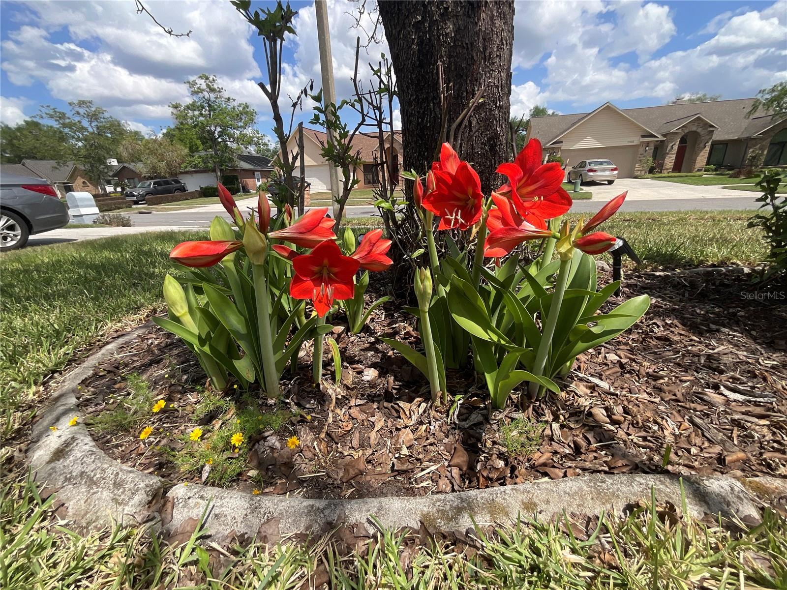 Image 26 of 39 For 7406 Mint Julep Drive