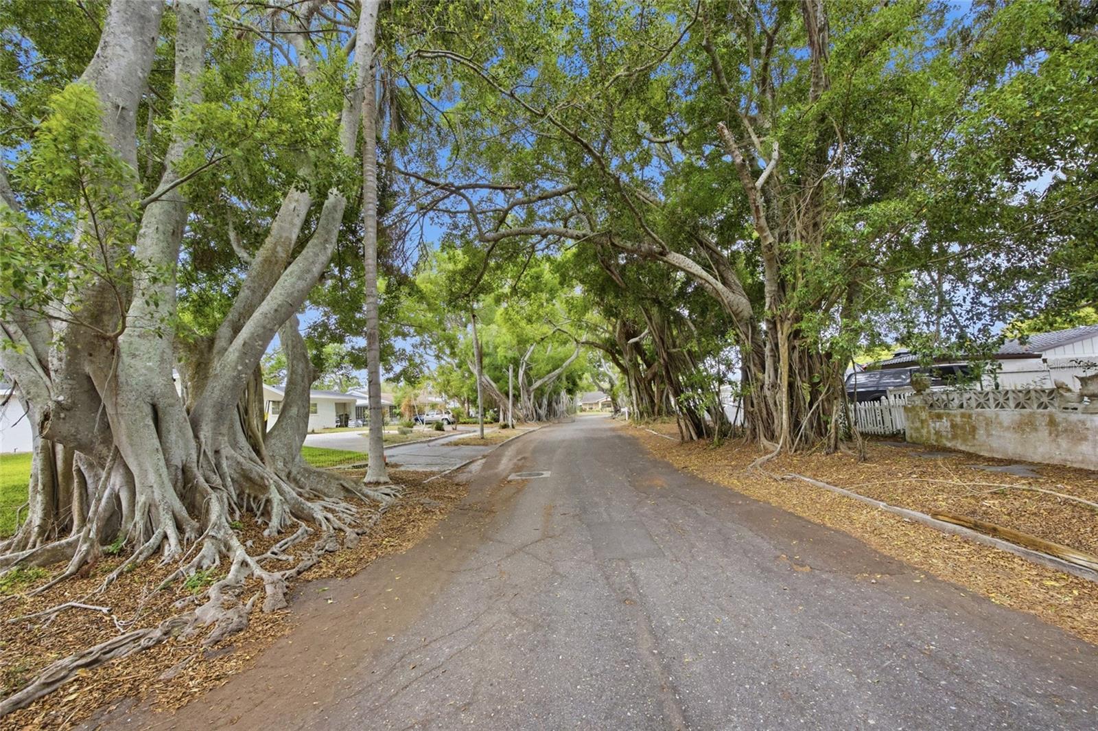 Image 36 of 38 For 615 Fontana Lane