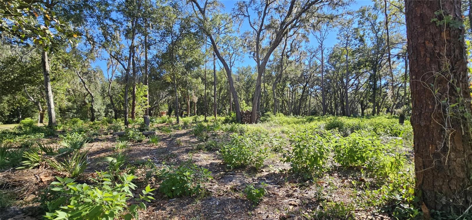 Image 10 of 17 For Piermaj Lane