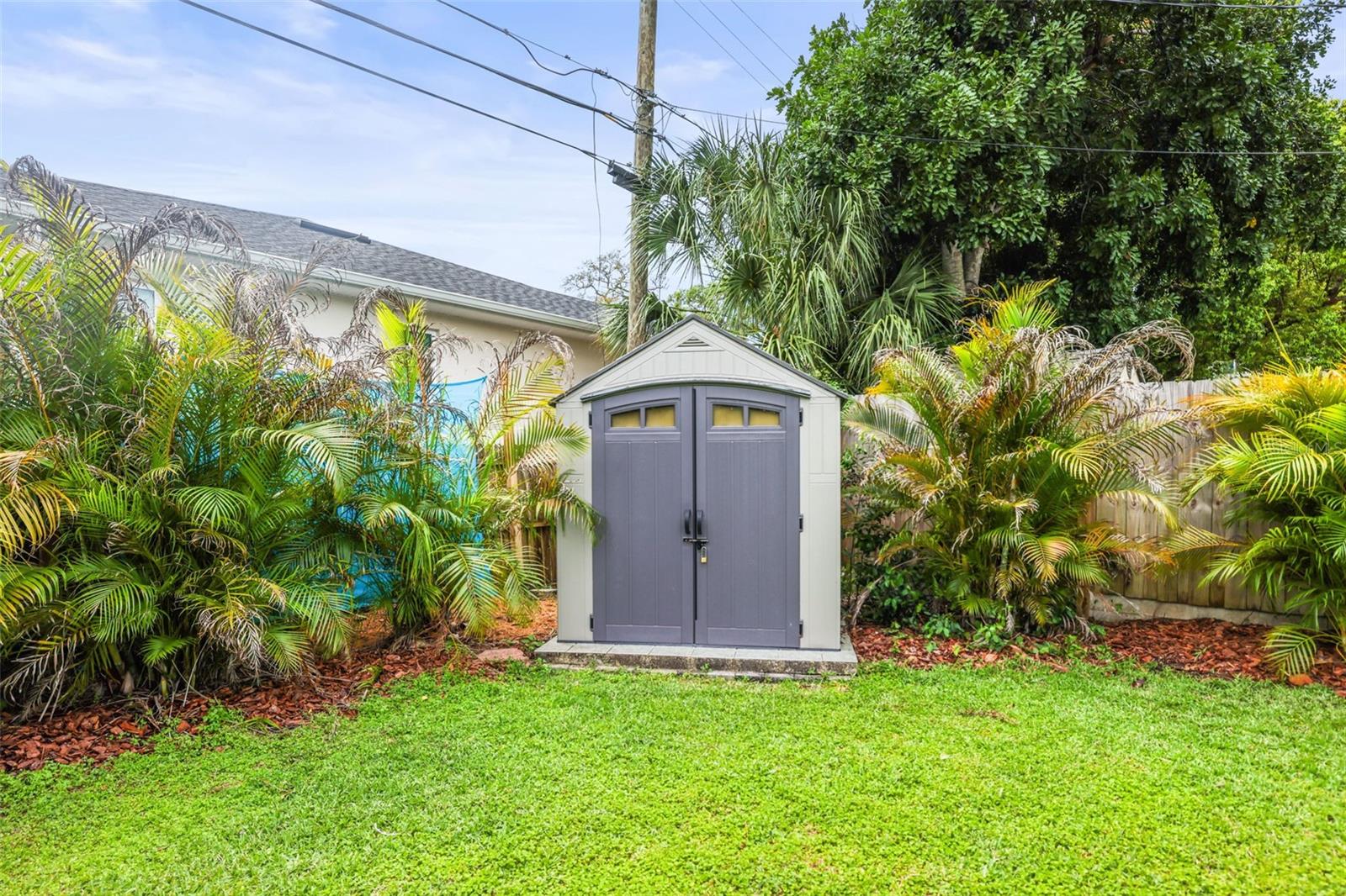 Image 26 of 47 For 641 Wilkie Street