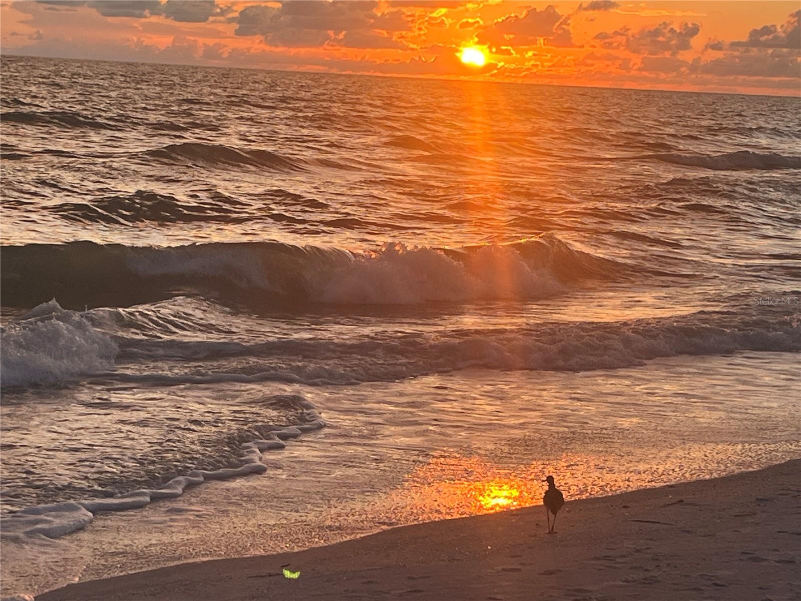 Image 17 of 17 For 18650 Gulf Boulevard 315