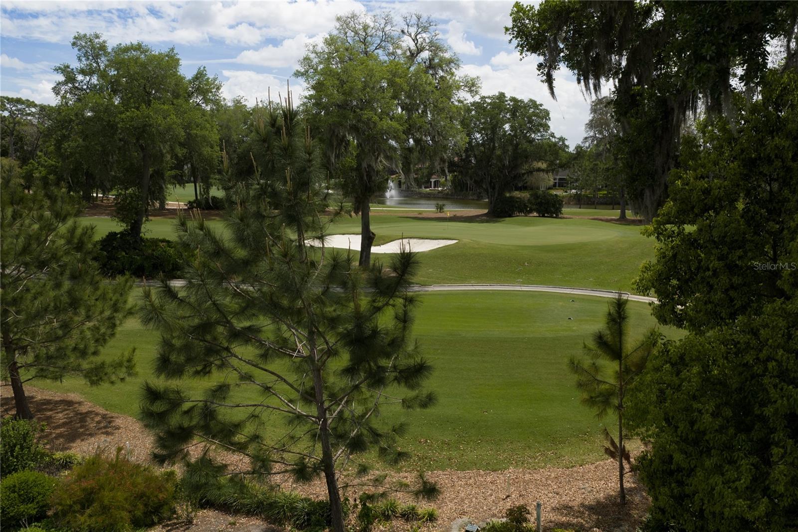 Image 5 of 19 For 16912 Villalagos De Avila