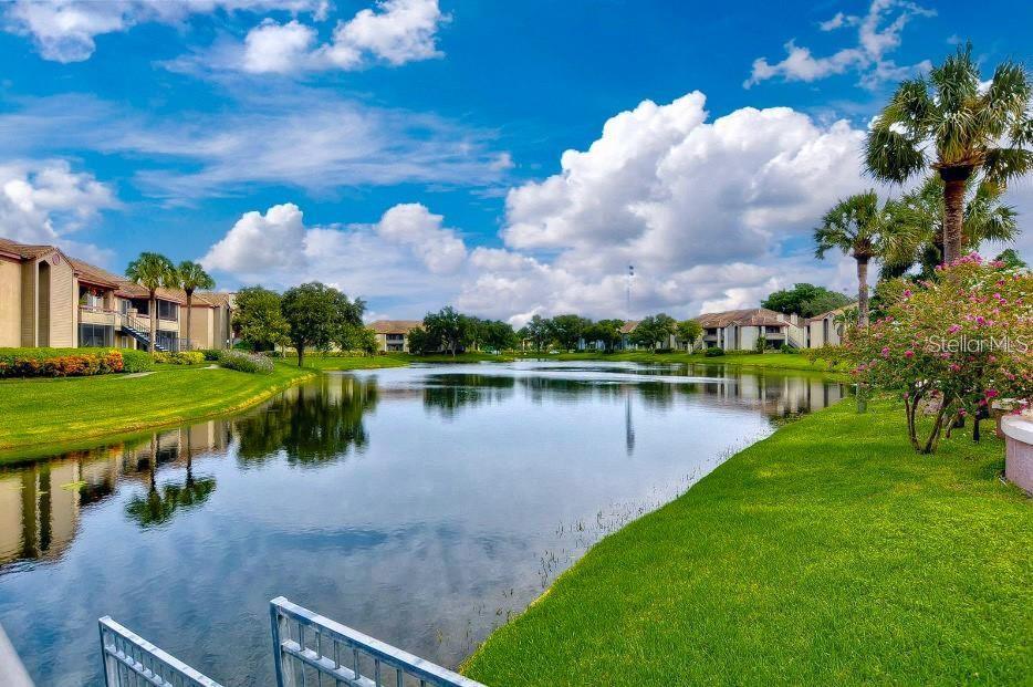 Image 81 of 100 For 10265 Gandy Boulevard N 1707