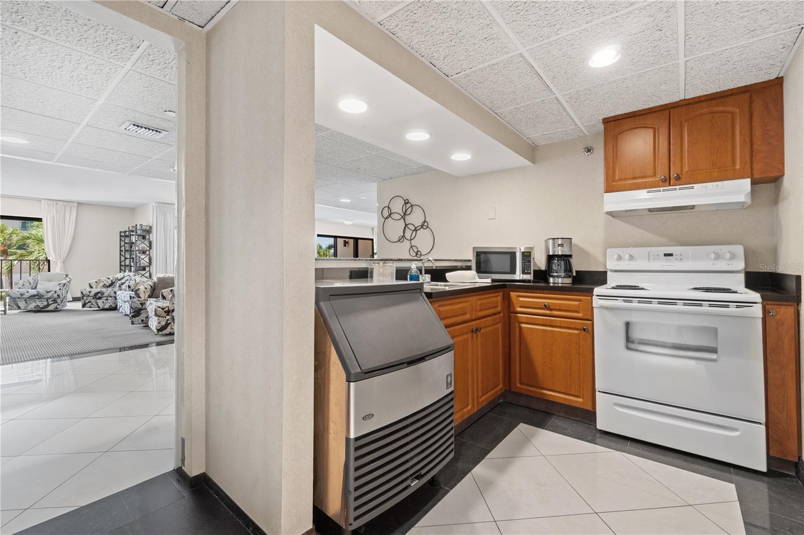 Listing photo id 46 for 1480 Gulf Boulevard 1104