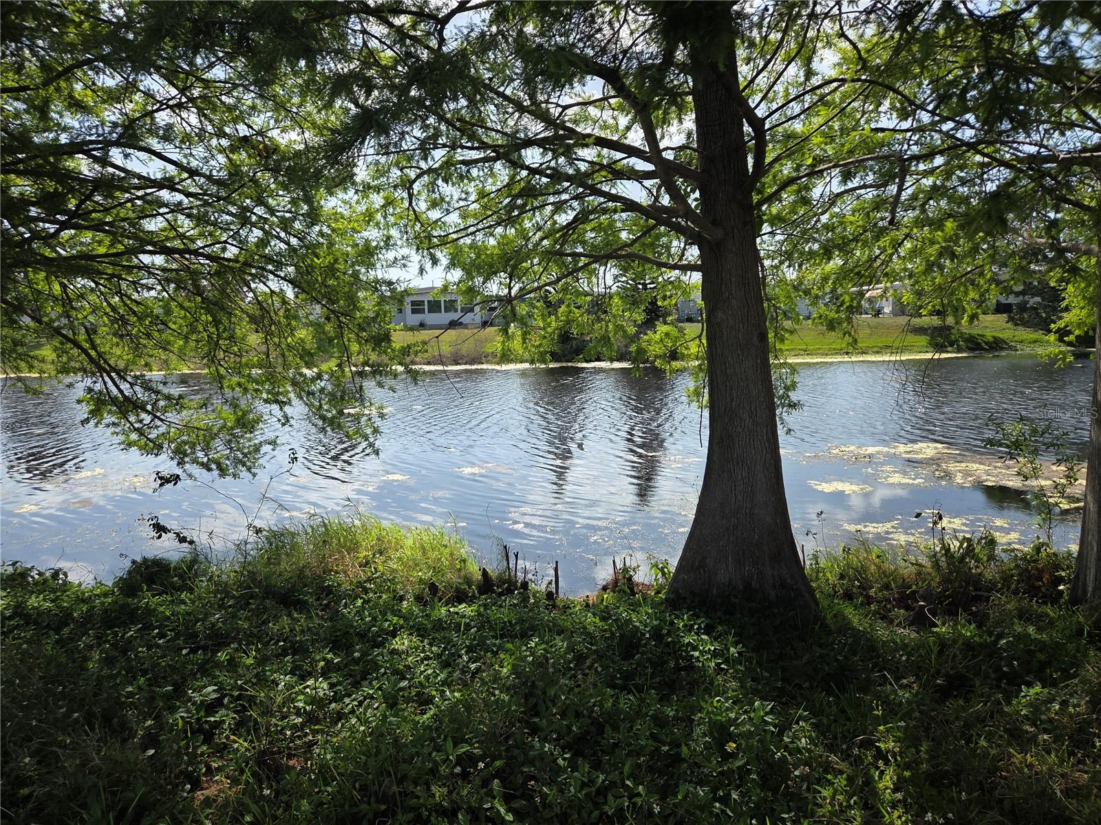 Image 21 of 26 For 9900 Ulmerton Road 13