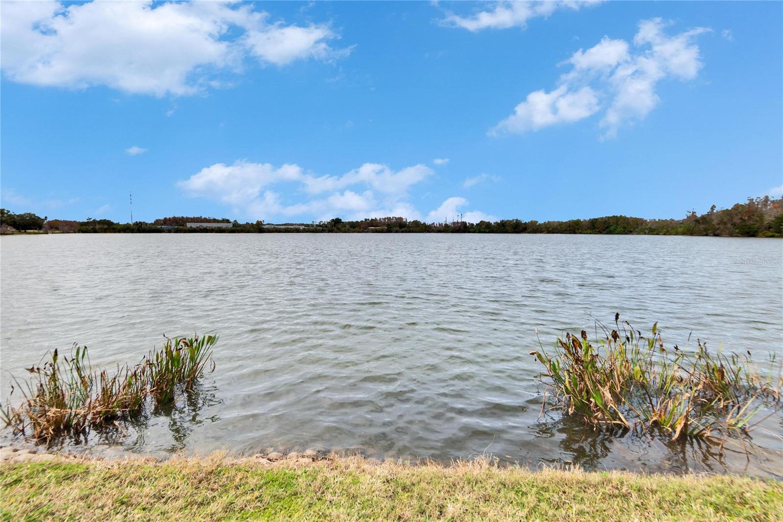 Image 47 of 59 For 9105 Crystal Commons Way