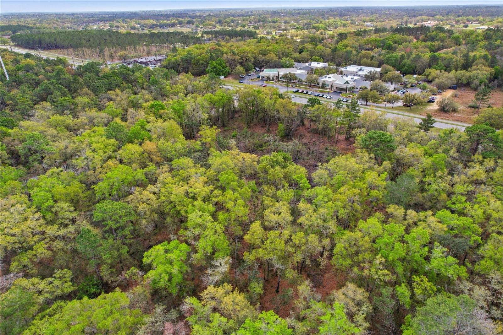 Image 6 of 14 For 161 Norvell Bryant Highway