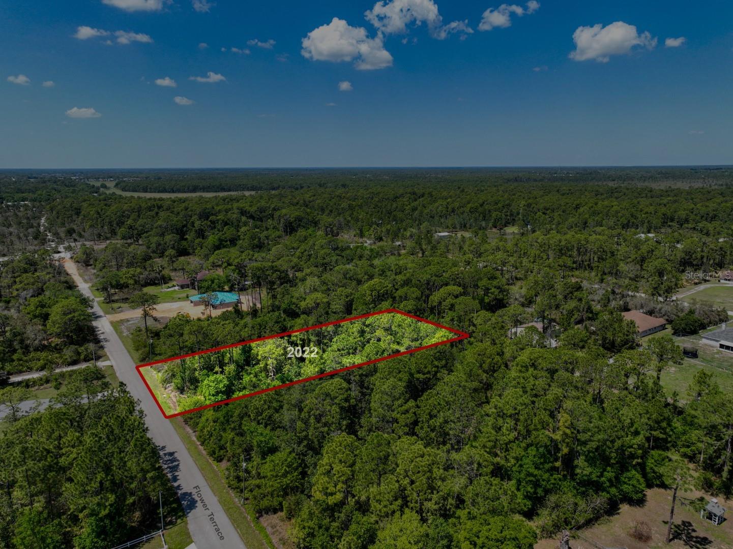 Image 28 of 60 For 2022 Flower Terrace