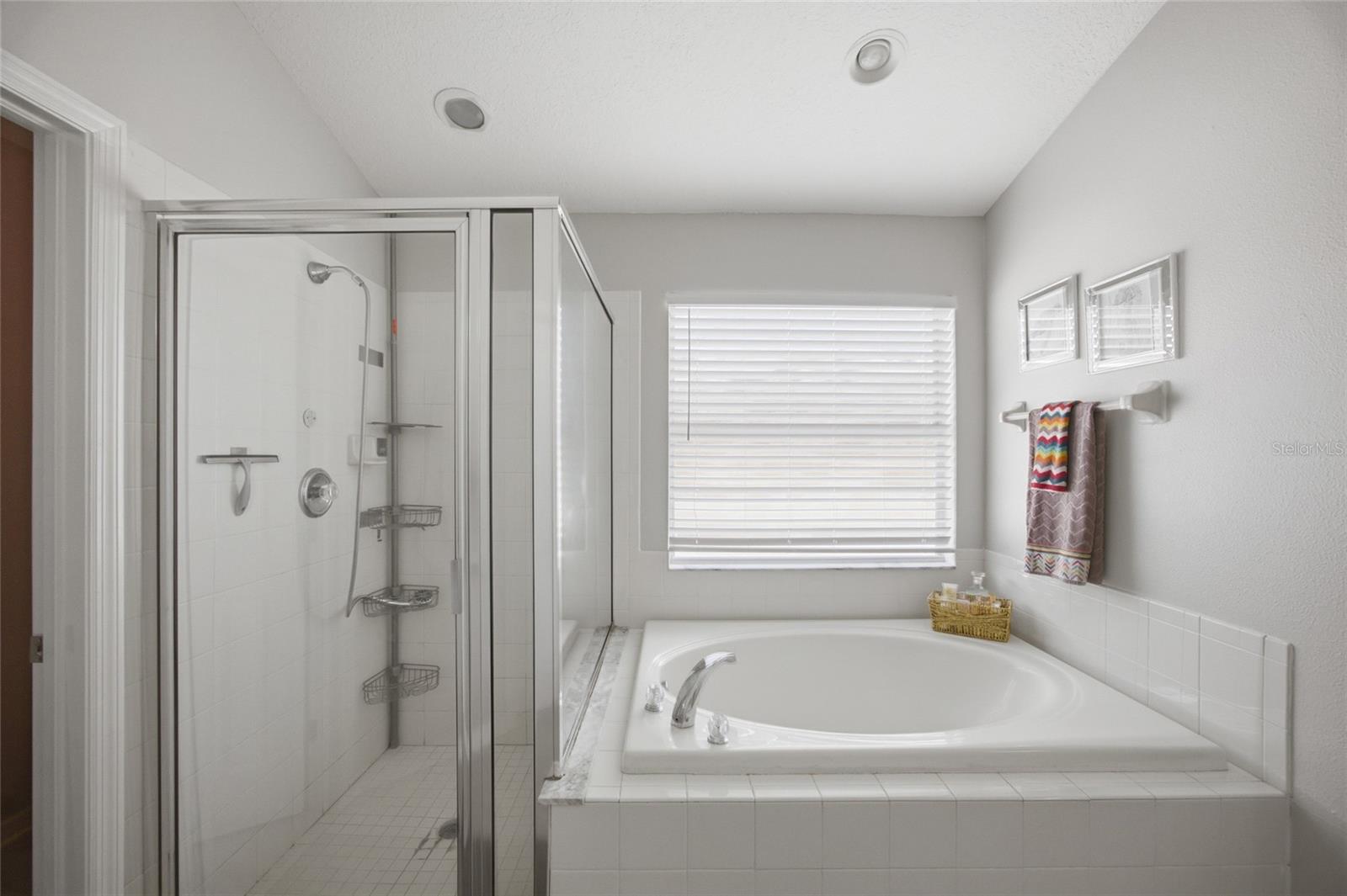 Listing photo id 18 for 24927 Portofino Drive