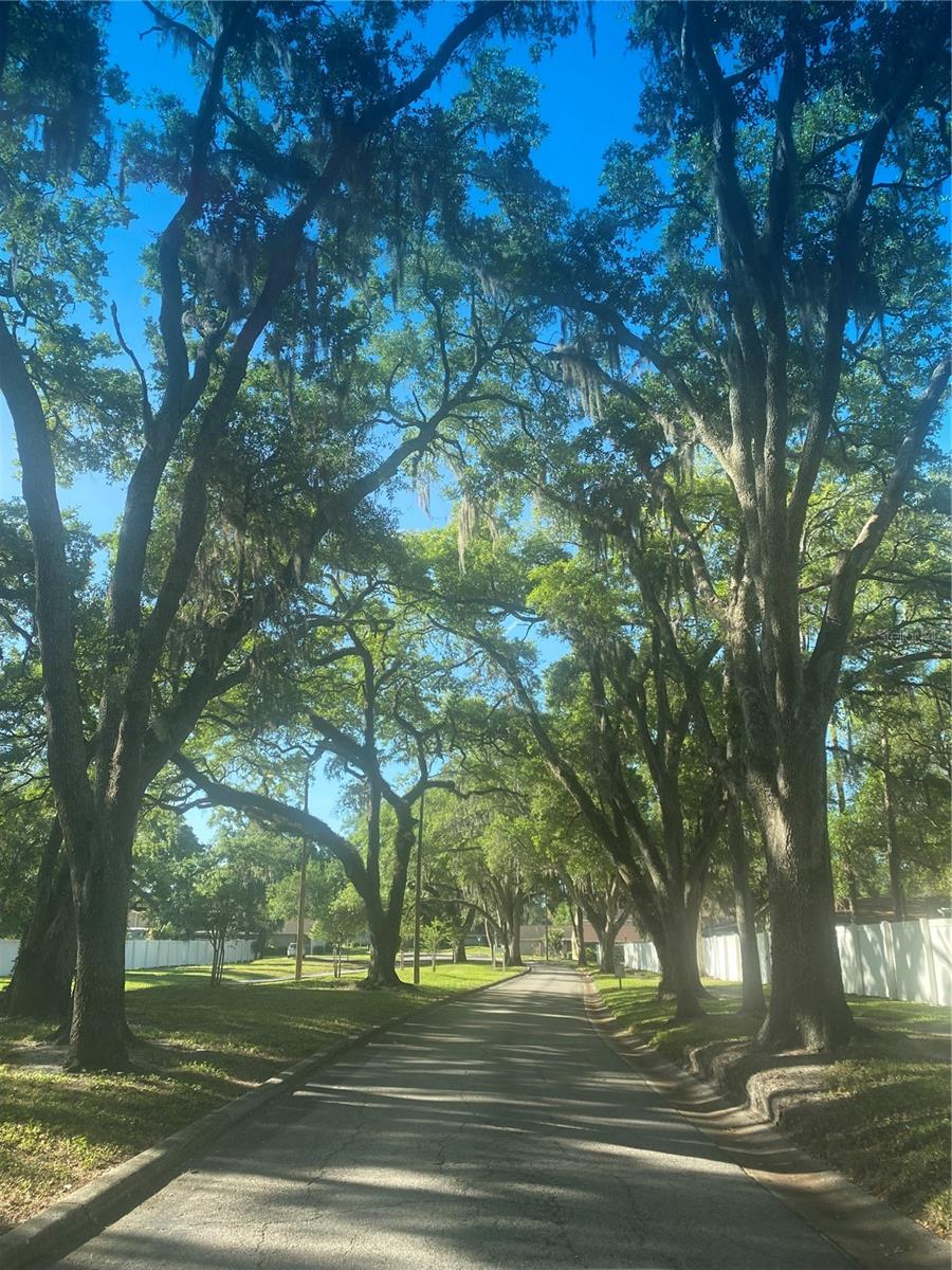 Image 25 of 42 For 7933 Pine Drive 37