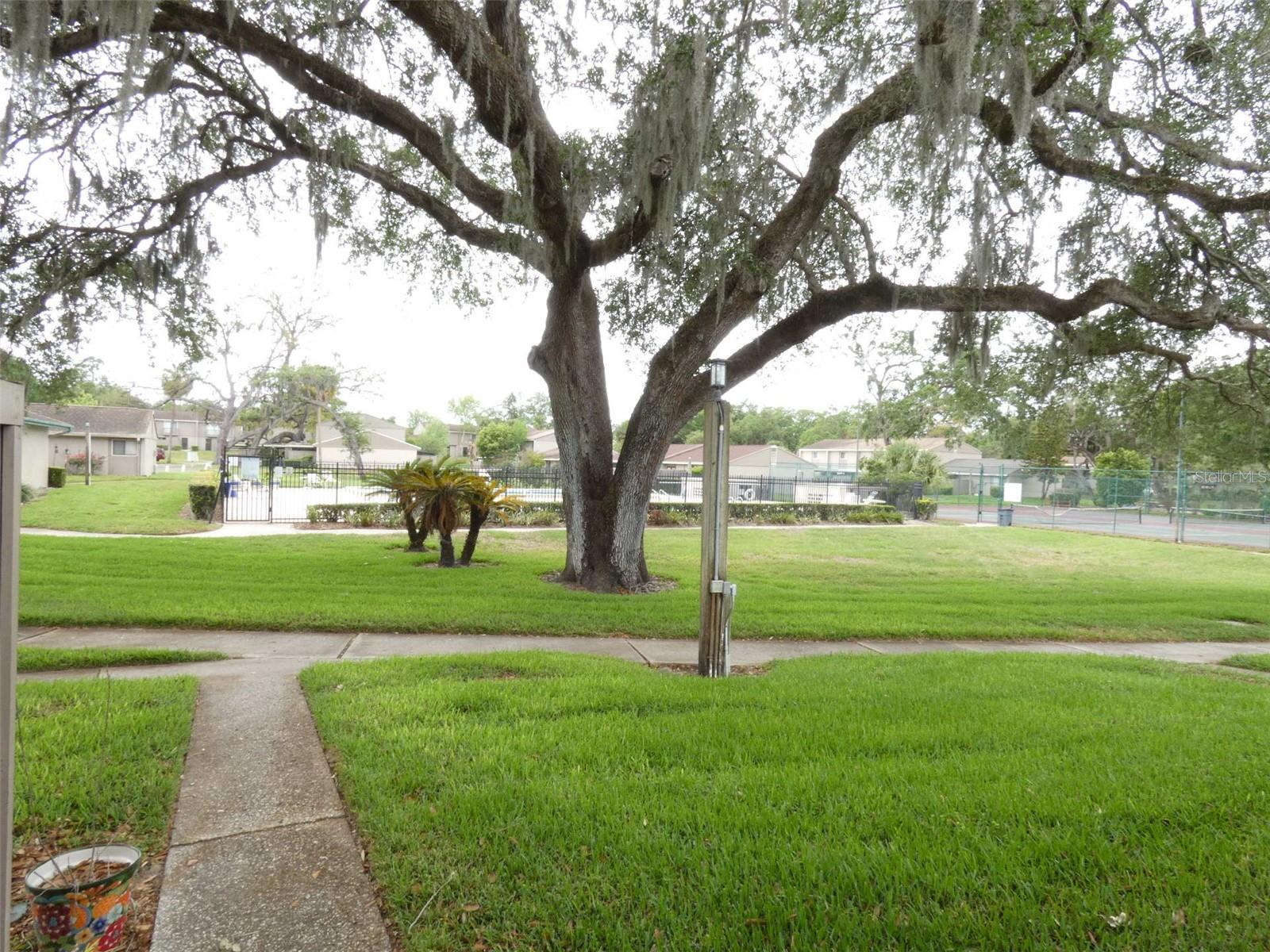 Image 29 of 42 For 7933 Pine Drive 37