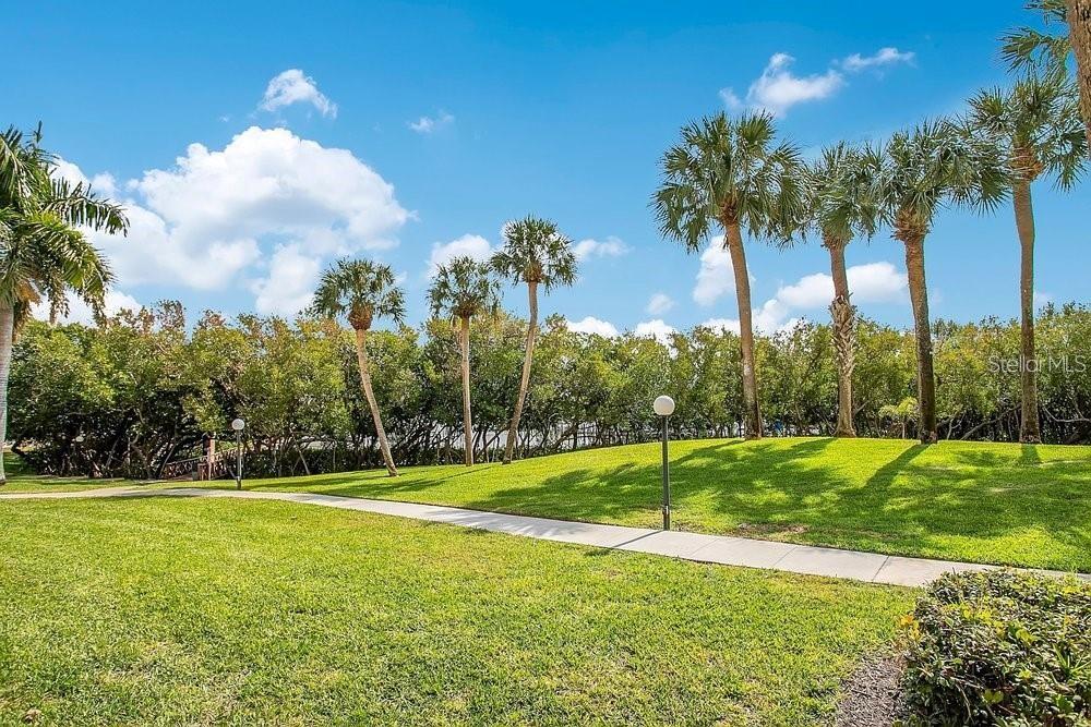 Image 45 of 47 For 1328 Pasadena Avenue S 104