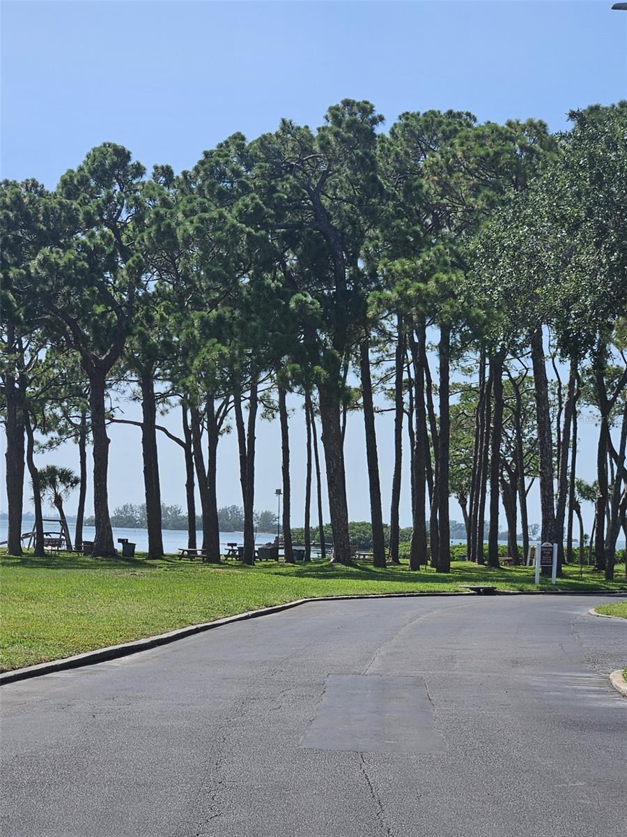 Image 22 of 36 For 2700 Bayshore Boulevard 2b