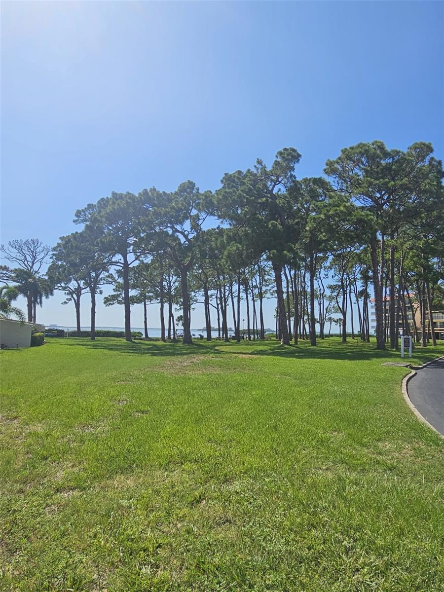 Image 23 of 36 For 2700 Bayshore Boulevard 2b