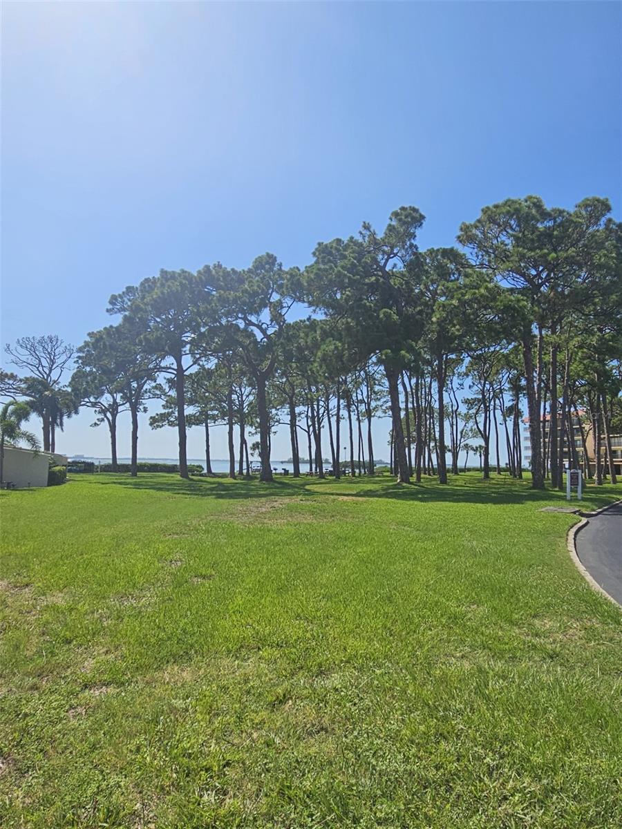 Image 24 of 36 For 2700 Bayshore Boulevard 2b