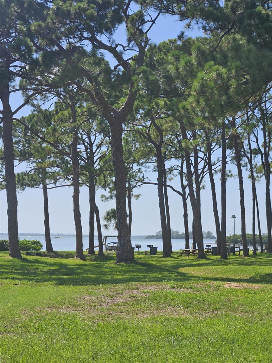 Image 25 of 36 For 2700 Bayshore Boulevard 2b