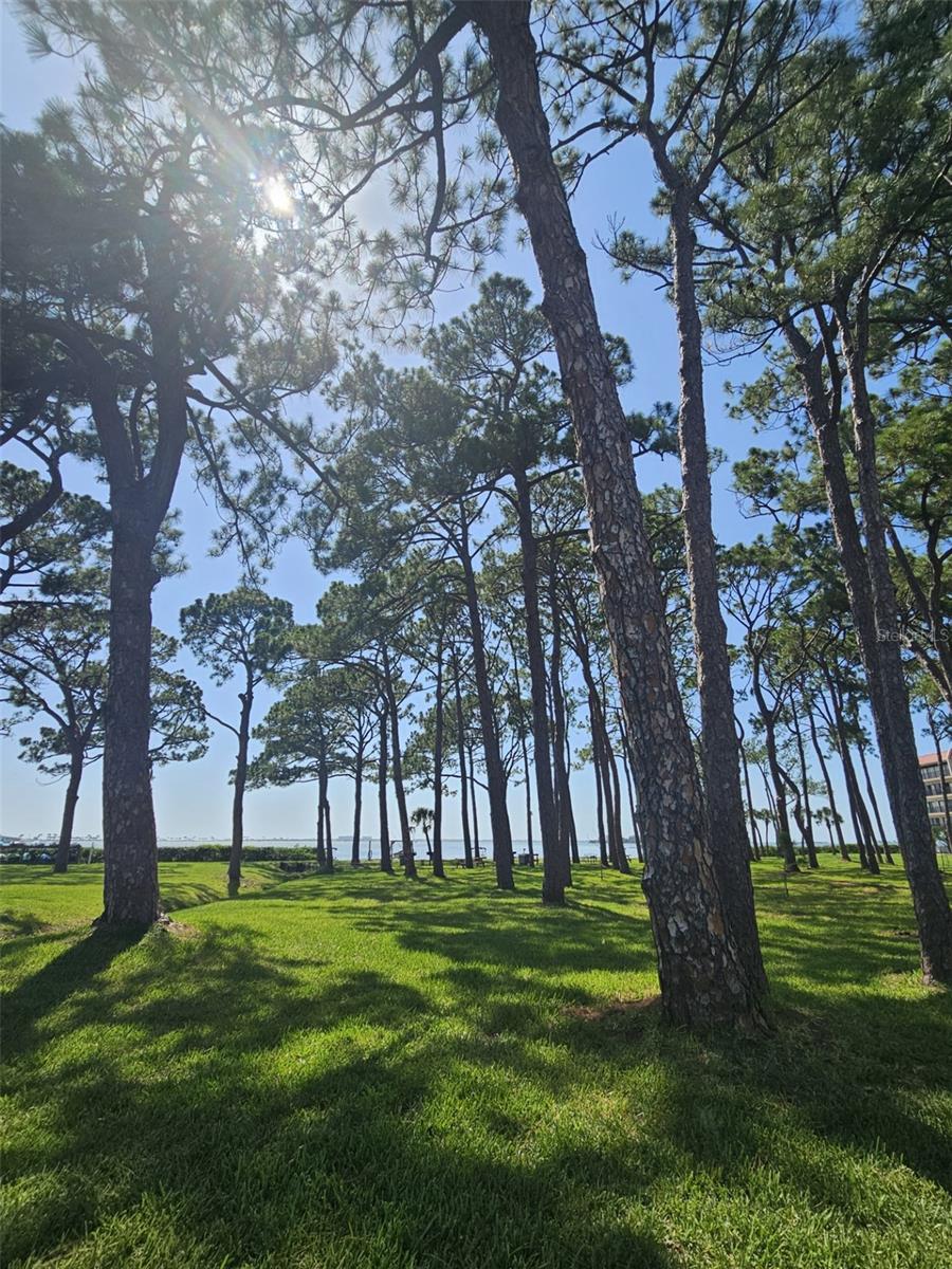 Image 27 of 36 For 2700 Bayshore Boulevard 2b