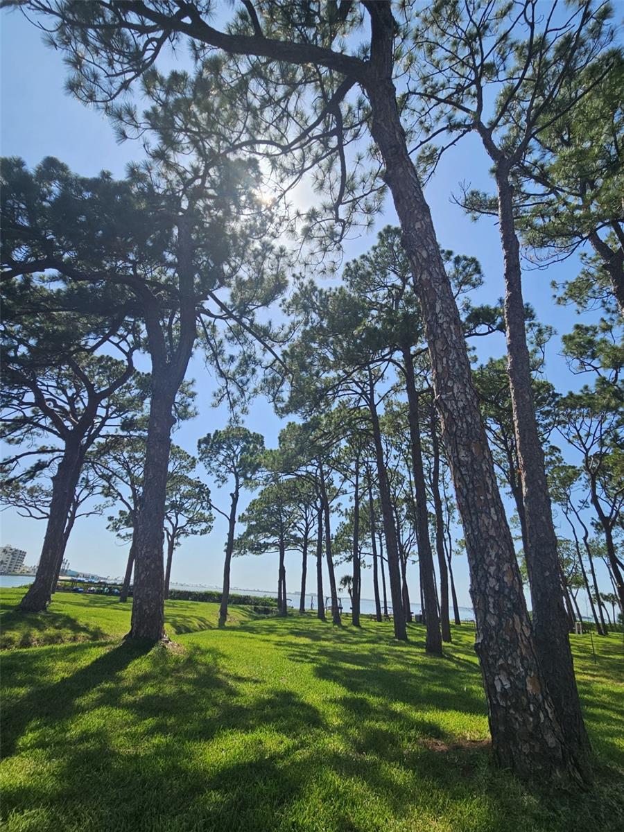 Image 28 of 36 For 2700 Bayshore Boulevard 2b